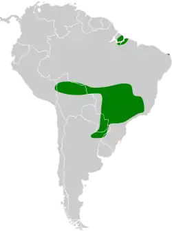 Distribución geográfica del cachilo enmascarado.