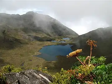 Parque nacional ChirripóEn él se encuentra el cerro Chirripó, punto más alto del país (3821 msnm). Protege bosques premontanos y páramos, así como varios lagos glaciares. Cuenta con una abundante avifauna.