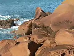 Costa de granito rosa después de la lluvia (detalle)