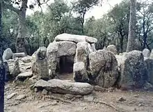 Cueva de Daina, Romanyá de la Selva, Gerona.