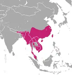 Distribución de la mangosta cangrejera