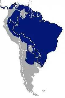 Distribución