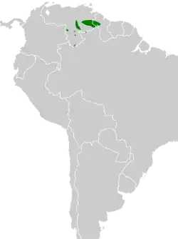 Distribución geográfica del curutié de tepuí.