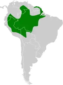 Distribución geográfica del curutié jaspeado.