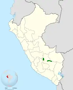 Distribución geográfica del cola-espina de Marcapata.