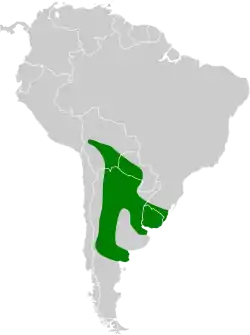 Distribución geográfica del curutié ventriblanco.