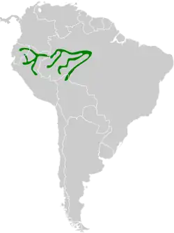 Distribución geográfica del curutié de Parker.