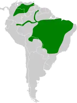 Distribución geográfica del curutié vulpino.