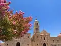 Árbol de Lagerstroemia en Sombrerete, México durante verano