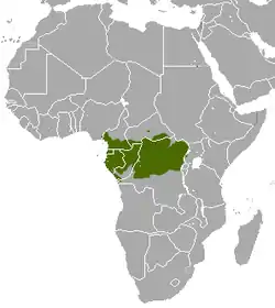 Crested Mona Monkey range