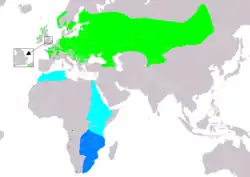 Distribución el guion de codornices.