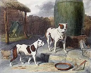 Crib y Rosa, 1811. Ejemplos del estándar Philo-kuon.