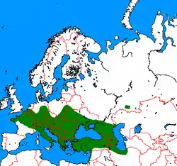 Distribución de C. leucodon (en verde).