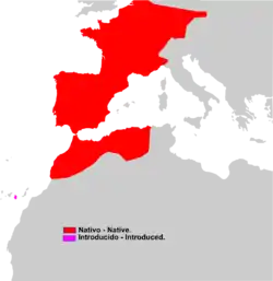 Distribución de Crocidura russula.