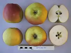 La Manzana 'Ivette' seccionada.