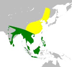 Distribución de Cuculus micropterus.