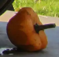 De tipo "Apple" (Manzana).