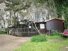 Cueva del Pindal