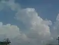 Cumulus congestus