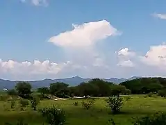 Nube cumulus humilis produciendo precipitación