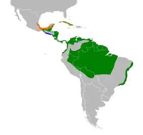 Distribución geográfica del mielerito patirrojo.