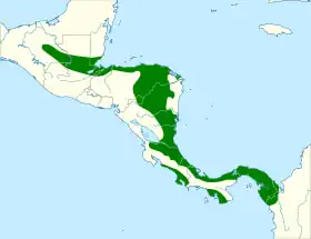 Distribución geográfica del mielerito reluciente.