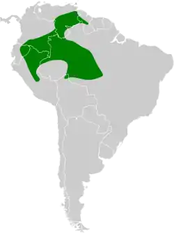 Distribución geográfica del mielerito piquicorto.