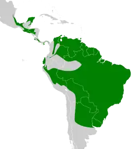 Distribución geográfica del vireón cejirrufo.