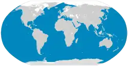 Distribución del rorcual común