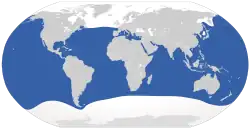 Distribución del tiburón blanco (en azul)