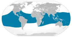 Distribución geográfica del tiburón ballena