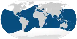 Distribución de T. truncatus (en azul)