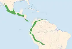 Distribución de Streptoprocne rutila