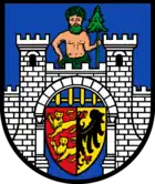 Armas de la Ciudad de Bad Harzburg