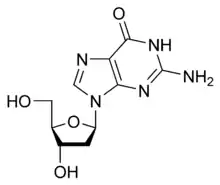 Estructura química de la desoxiguanosina