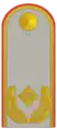 Insignia de Brigadegeneral del Ejército de Alemania