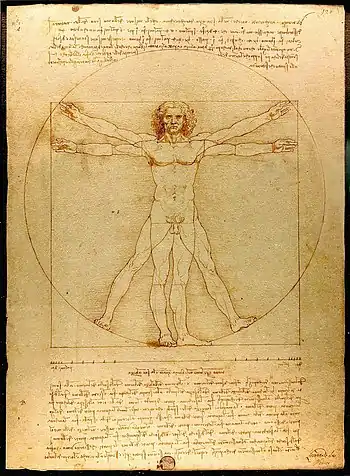 El Hombre de Vitruvio, obra de Leonardo Da Vinci, considerada una de las más perfectas proporciones del varón