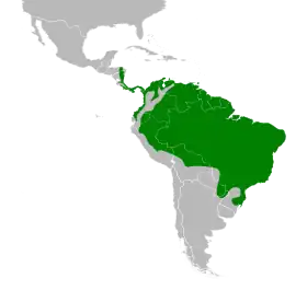 Distribución geográfica del dacnis azul.