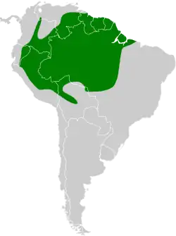 Distribución geográfica del dacnis carinegro.