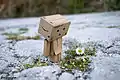 A Danbo le gustan las flores.