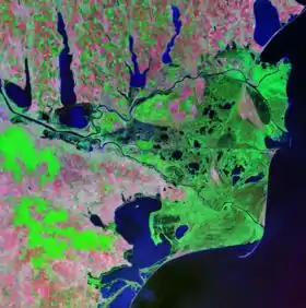 Delta del río Danubio, detalle del Landsat.