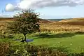 Dartmoor