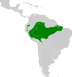 Distribución geográfica del trepatroncos colilargo sureño.