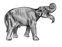 Dibujo de un Deinotherium