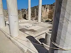 Pavimento de mosaico en el peristilo de la Casa de Dioniso.