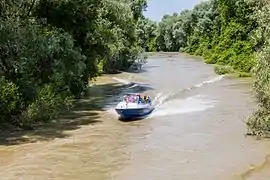 Lancha rápida en el delta.