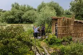 Cabaña en el delta.