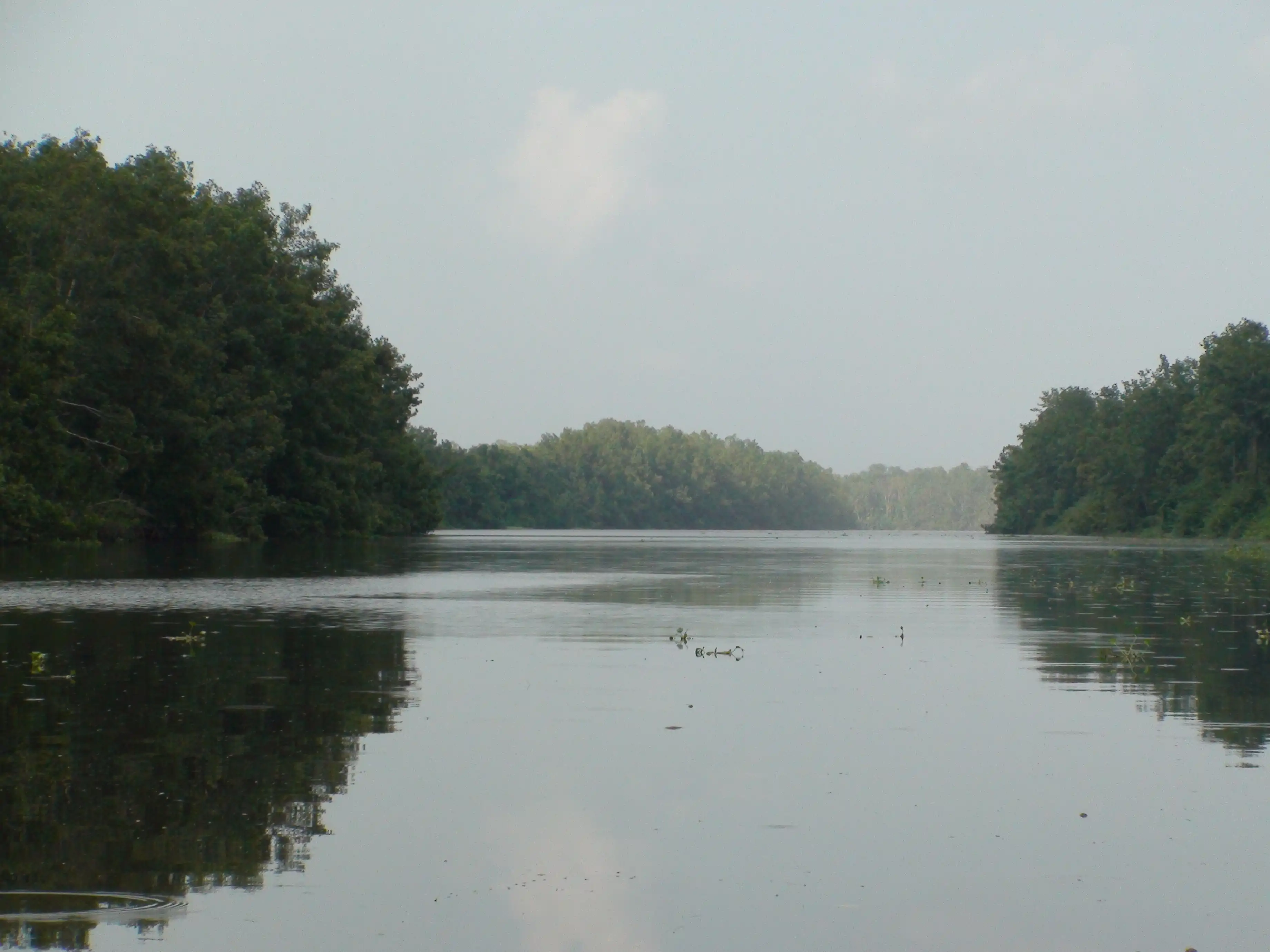 Delta del Orinoco, Delta Amacuro