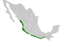 Distribución geográfica del copetón piquiplano.