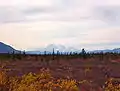 Vista al oeste  viendo hacia el monte Denali.